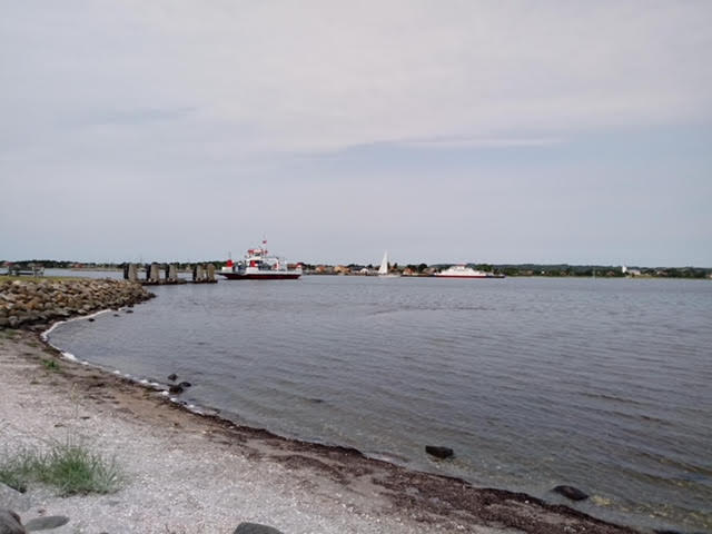 Fur sound, 16 June 18