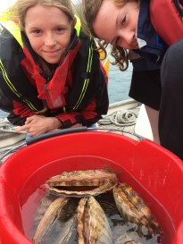 38120029_672284506483661_8354109469763829760_n