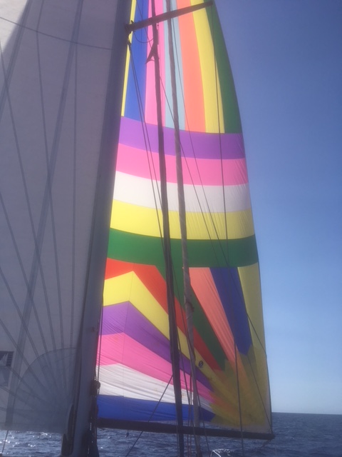 Spinnaker en route to Canaries